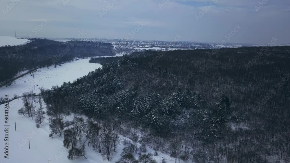 Top down view of the forest in winter. Winter landscape in the forest. Flying over winter fir forest. Top down view of high snowy trees. Trees in the snow. Top down view of the forest in winter. Winter landscape in the forest. Flying over winter fir forest. Top down view of high snowy trees. Trees in the snow.