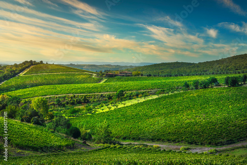Gaiole in Chianti vineyards and panorama at sunset. Tuscany  Italy