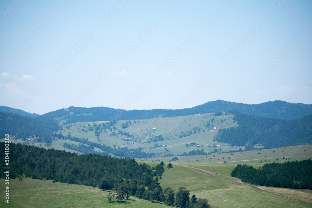 mountain landscape with pine forest and meadow