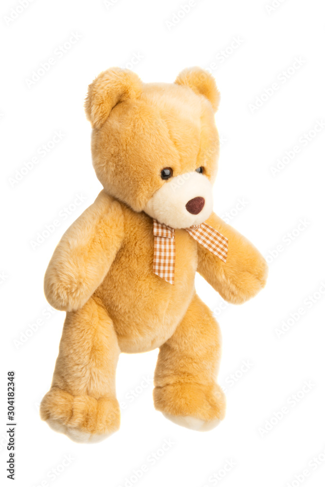 soft toy bear isolated soft toy bear isolated