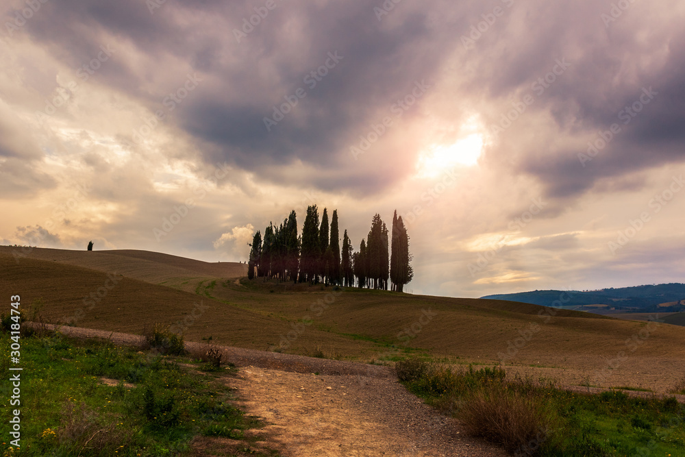 Val d'Orcia - Tuscany landscape with cypress