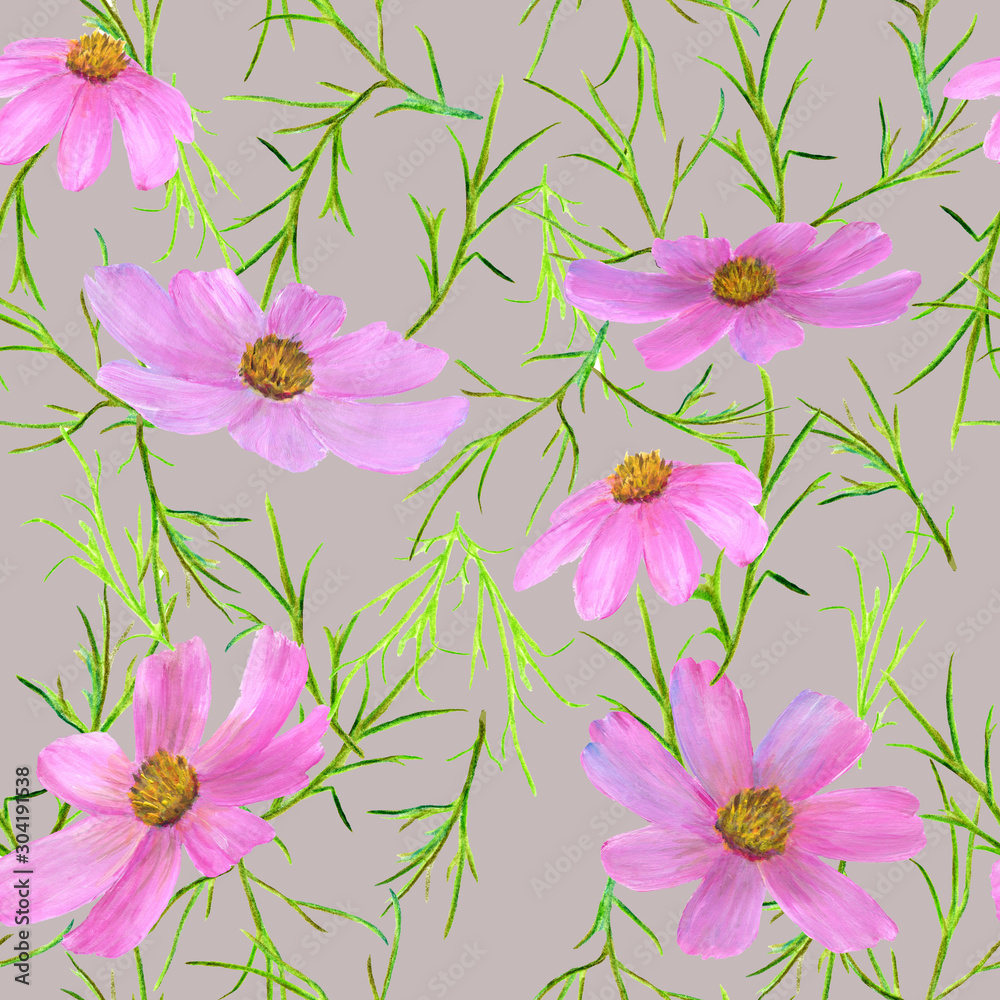 Obraz Jednolity wzór letnich różowe kwiaty Cósmos. Akwarela ręcznie rysowane ilustracje na białym tle na różowym tle.