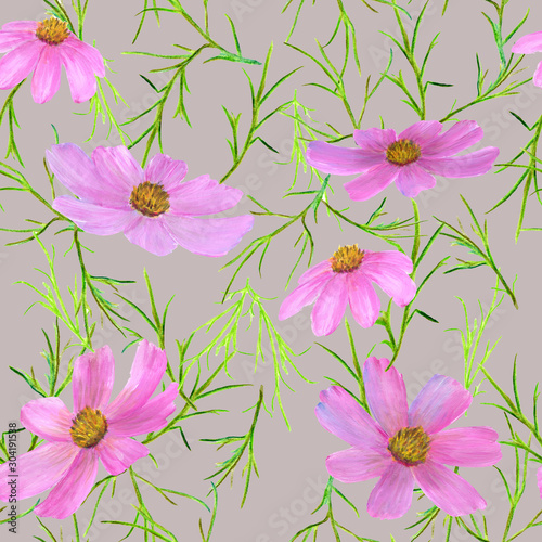 Seamless pattern of summer pink flowers Cósmos. Watercolor hand drawn illustrations isolated on a pink background. 