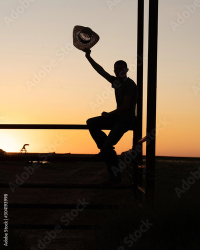 silhouette of cowboy 2