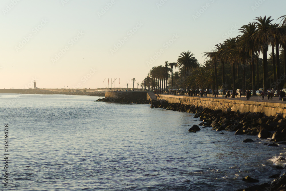 Fototapeta premium Sunset Porto with garden