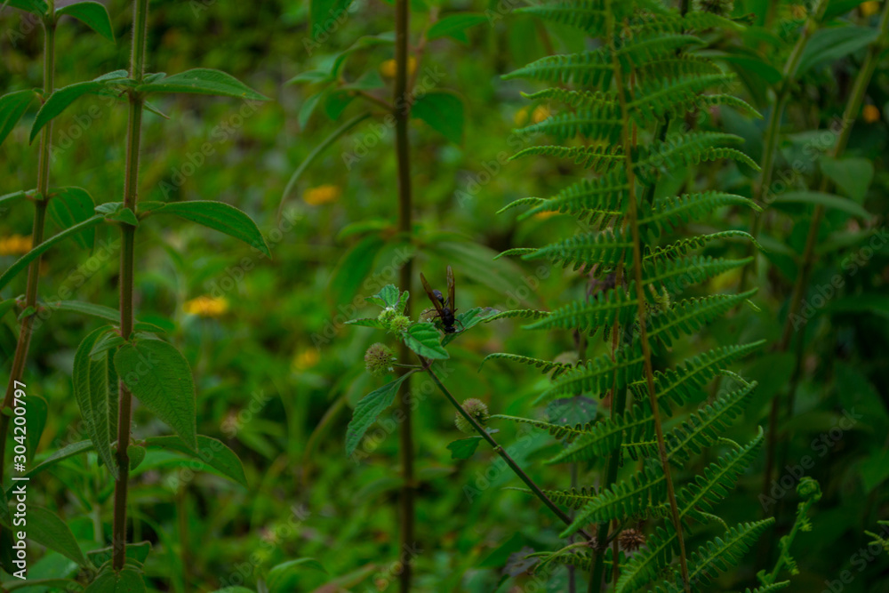 green background green background