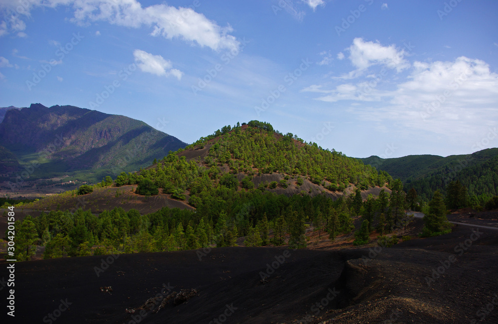 Volcanic top full of pine trees