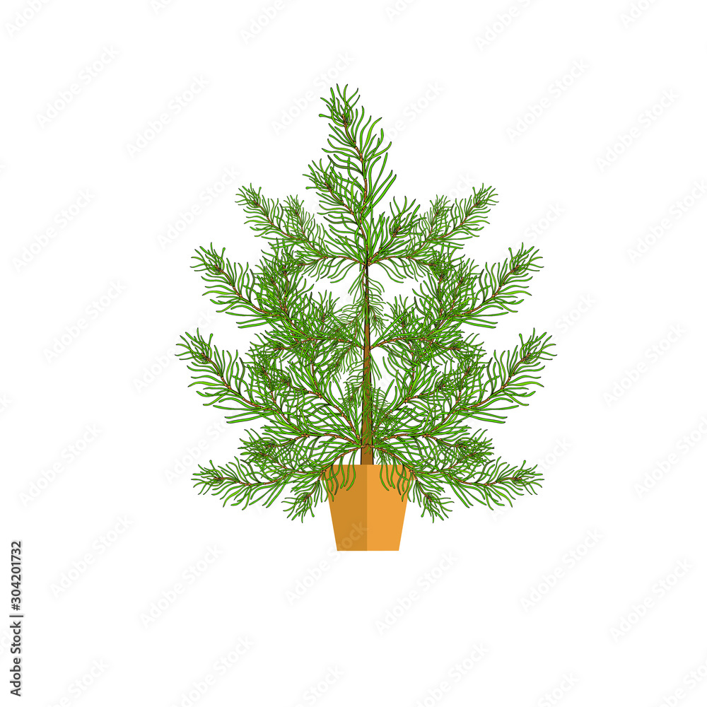 Fir tree in  brown pot. Green Christmas tree object isolated on white stock vector illustration for web, for print