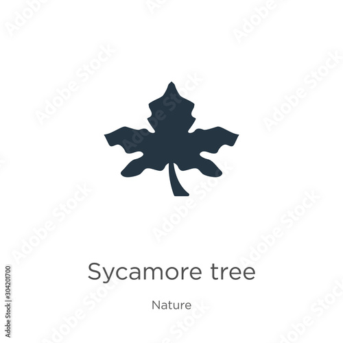 Sycamore tree icon vector. Trendy flat sycamore tree icon from nature collection isolated on white background. Vector illustration can be used for web and mobile graphic design, logo, eps10