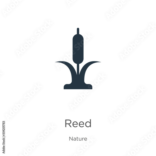 Reed icon vector. Trendy flat reed icon from nature collection isolated on white background. Vector illustration can be used for web and mobile graphic design, logo, eps10