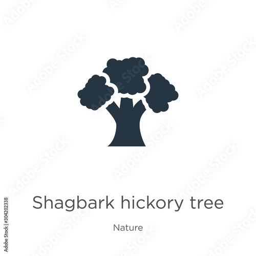 Shagbark hickory tree icon vector. Trendy flat shagbark hickory tree icon from nature collection isolated on white background. Vector illustration can be used for web and mobile graphic design, logo, photo