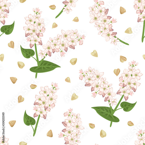 Green buckwheat grains and flowering plant seamless pattern. Vector illustration of cereal plant and seeds in cartoon simple flat style.