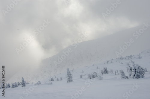 Snowstorm at winter in the mountains © PiotrKaluza