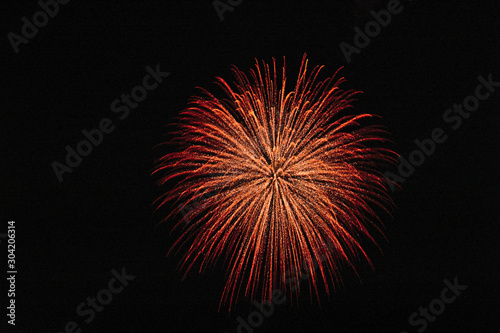 Firework Red Willow 