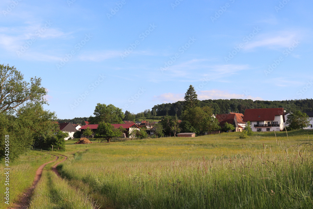 Dirt road leading into Potzbach, Germany Dirt road leading into Potzbach, Germany