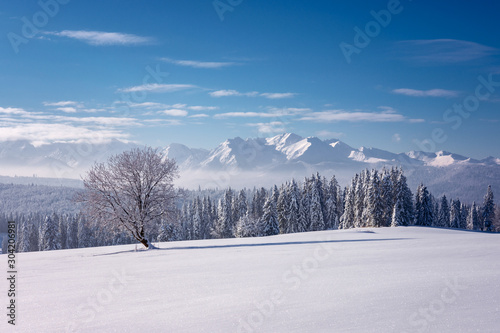 winter mountain landscape