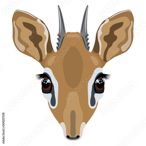 Isolated vector illustration. Stylized head of dik-dik. African antelope. (Madoqua). Flat cartoon style.