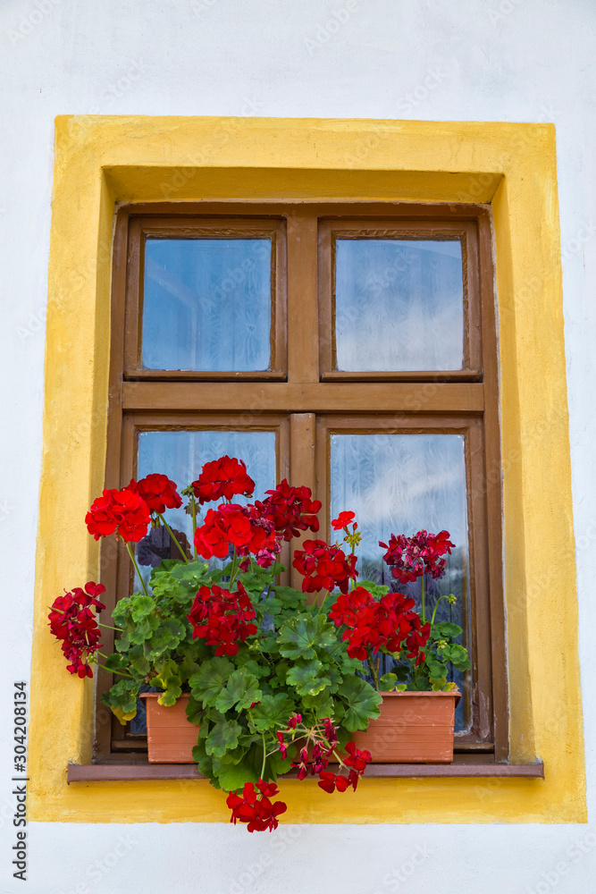 Flowers on the  window