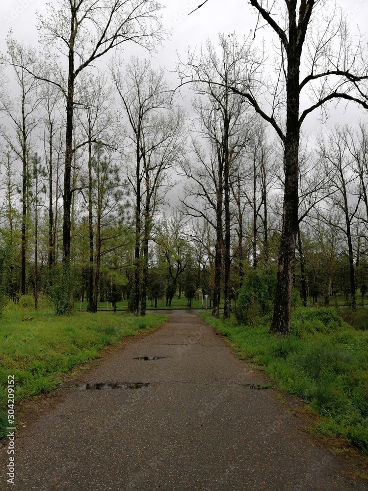 Obraz premium Promenade in Tskaltubo