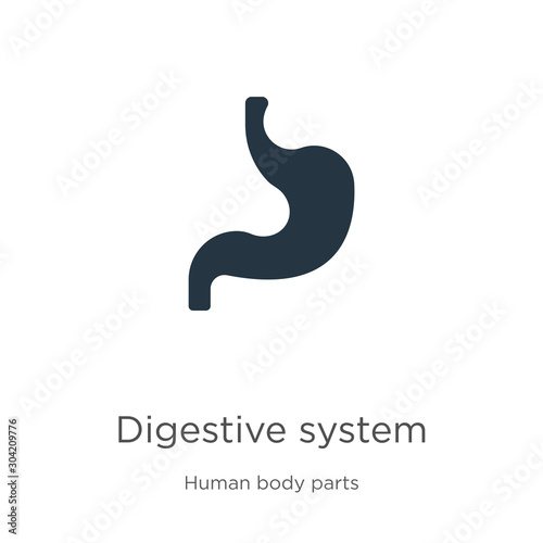Digestive system icon vector. Trendy flat digestive system icon from human body parts collection isolated on white background. Vector illustration can be used for web and mobile graphic design, logo,