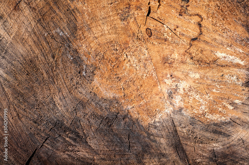 Wallpaper Mural texture background aged wood close-up Torontodigital.ca