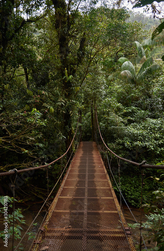 Iron bridge over the Celeste River in Tenorio Volcano National Park, Costa Rica