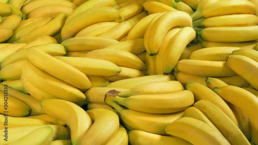 Lots Of Bananas Moving Shot Lots Of Bananas Moving Shot