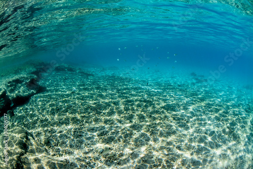 Fototapeta Naklejka Na Ścianę i Meble -  Underwater scene with ocean bottom and sunlight