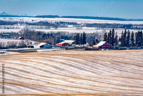 Country Scenes from Southern Alberta