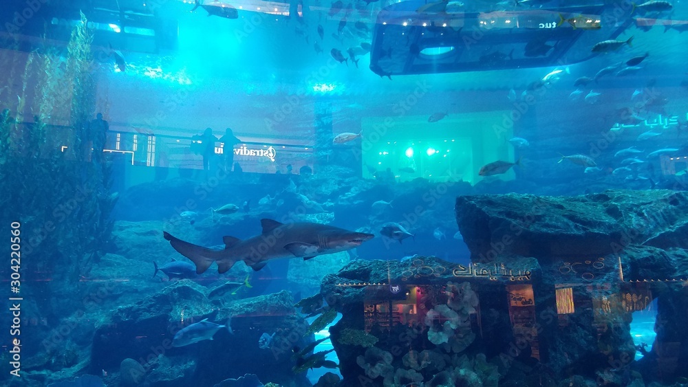 Dubai Birj Fishtank