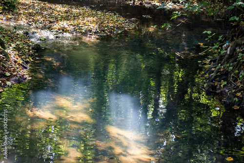 The clear water of a forest stream lit by the rays of the sun