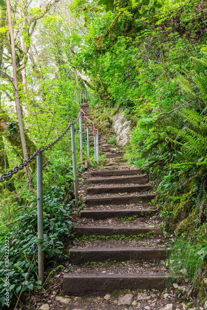 Path with steps carved into a sheer cliff.