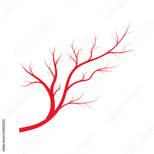 Human veins, red blood vessels design on white backgroun. Vector illustration