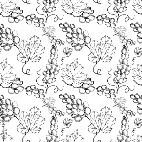 Grape berry healthy food. Black and white engraved ink art. Seamless background pattern.