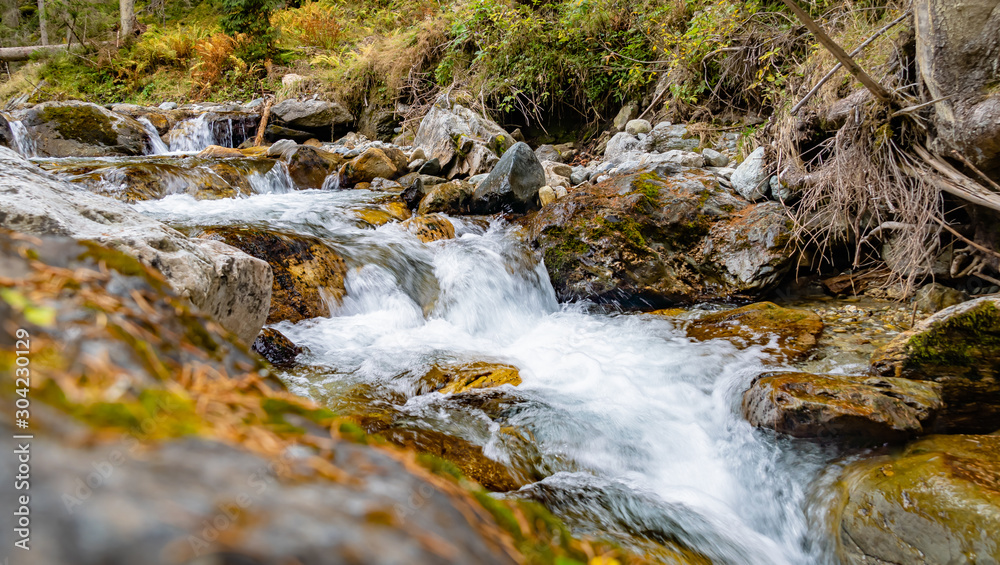 Fototapeta premium Bach