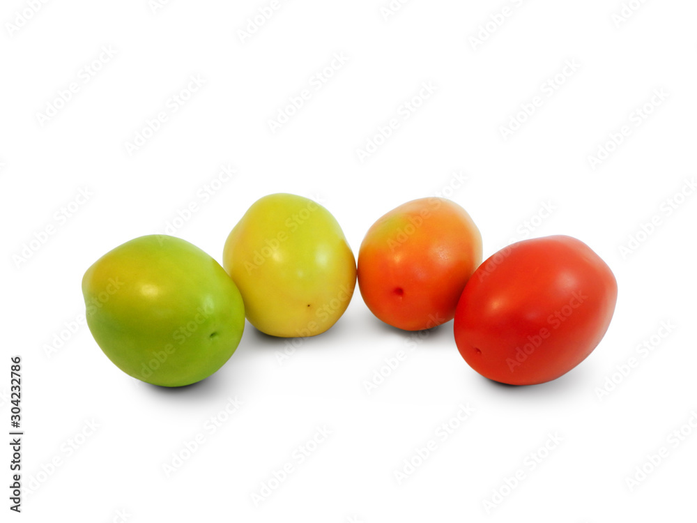 Green, yellow, orange and red whole tomatoes isolated on white background, side view. Green, yellow, orange and red whole tomatoes isolated on white background, side view.