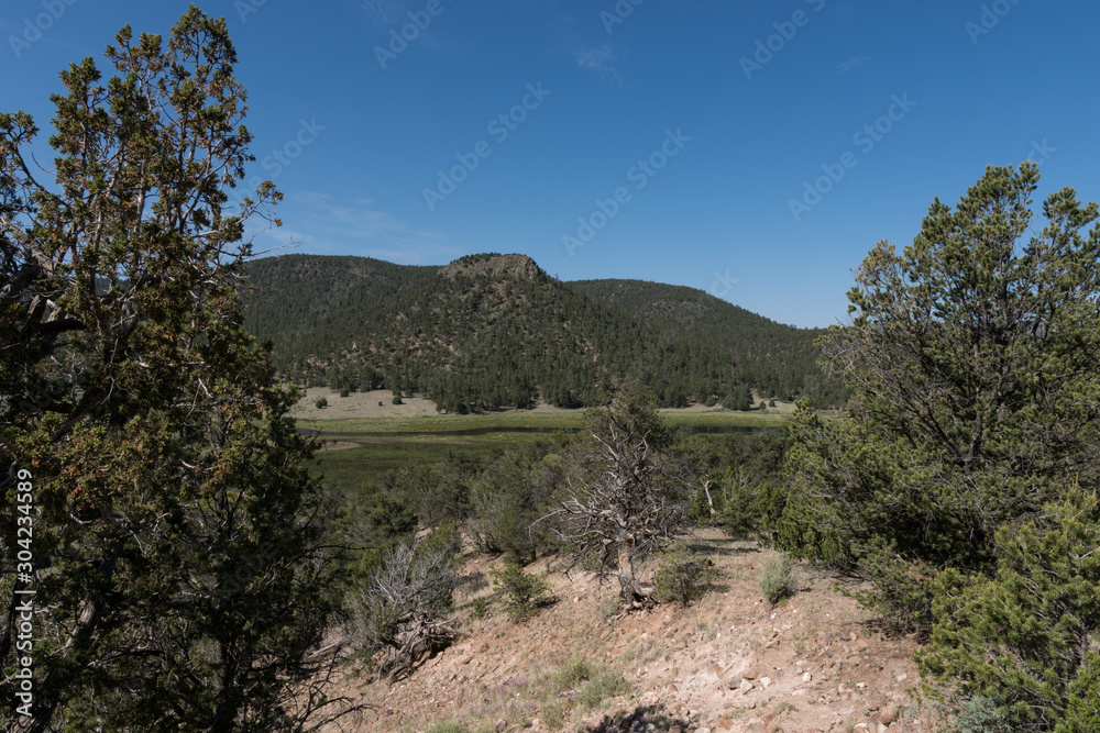 A view of the Gallo Mountains, Catron county, N.M. A view of the Gallo Mountains, Catron county, N.M.
