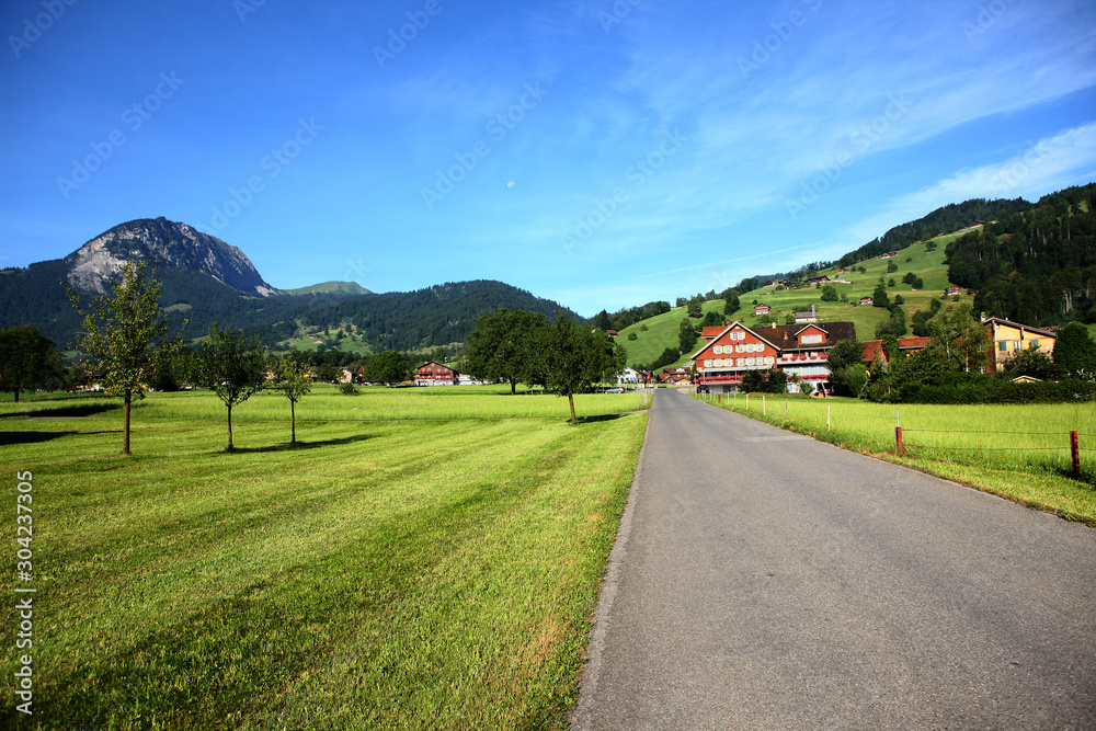 Moutains in switzerland, green grass and swiss house