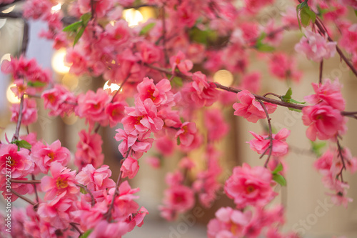 Beautiful blurred floral background of flowers