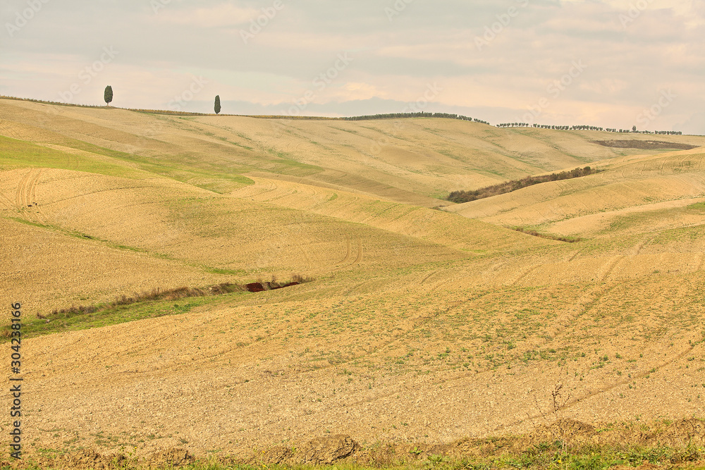 Obraz premium landscape of hills tuscany in autumn in Italy