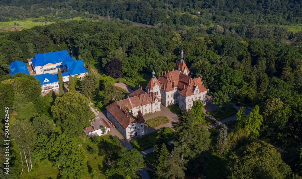 Aerial view on castle of Shenborn, Carpathians mountains, Ukraine.