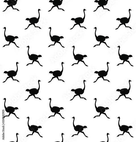 Vector seamless pattern of black ostrich silhouette isolated on white background