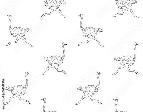 Vector seamless pattern of hand drawn black sketch doodle ostrich isolated on white background photo