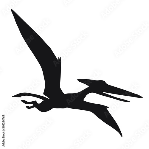 Vector black flying pterodactyl dinosaur silhouette isolated on white background