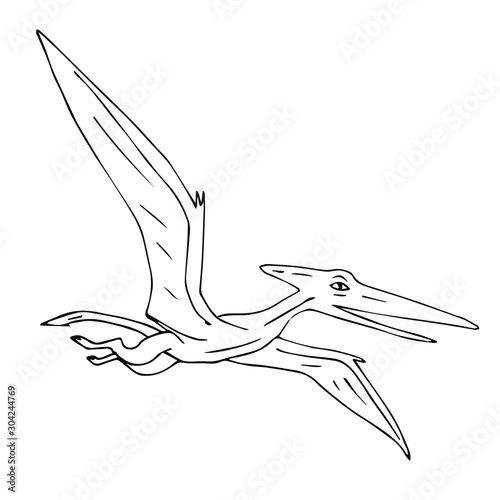 Vector black hand drawn outline sketch flying pterodactyl dinosaur isolated on white background