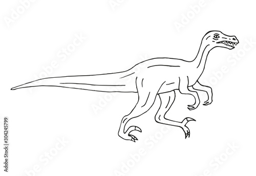 Vector hand drawn doodle sketch velociraptor dinosaur isolated on white background