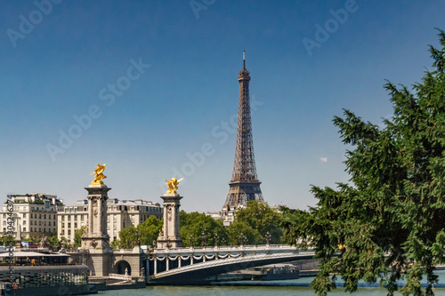 Pont Alexandre III details with the Eiffel Tower in the background, with blue sky © Ana Maria Pareja