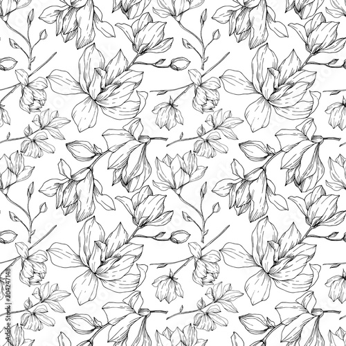 Vector Magnolia floral botanical flowers. Black and white engraved ink art. Seamless background pattern.