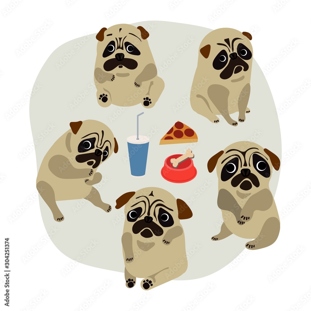Obraz premium set of dogs dog animal mops bulldog vector illustration