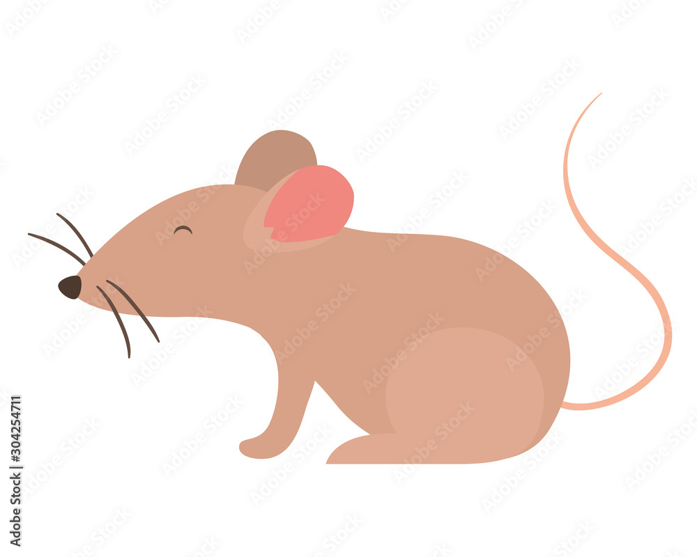 Isolated mouse cartoon vector design Isolated mouse cartoon vector design